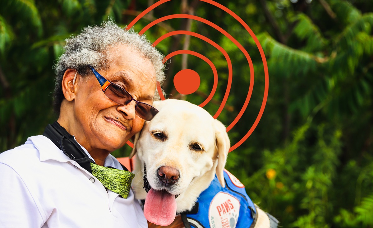 UN International Day of Older Persons 2022: Resilience of Older Persons ...
